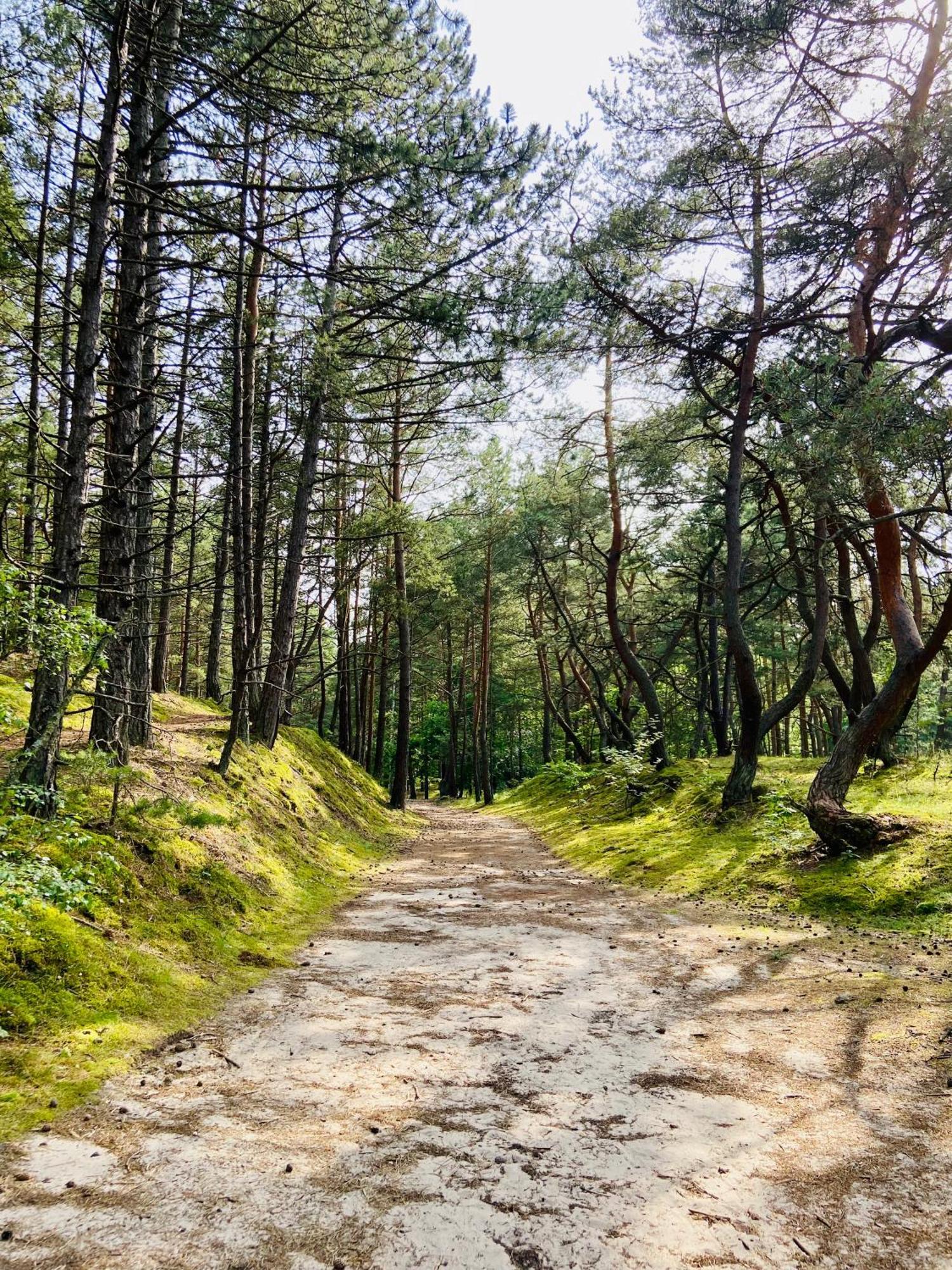 Villa Arkodes Danzica Esterno foto